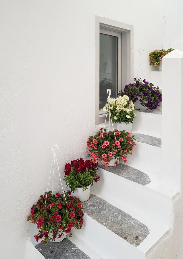 Aniko Suites Chora Mykonos Town Eksteriør billede